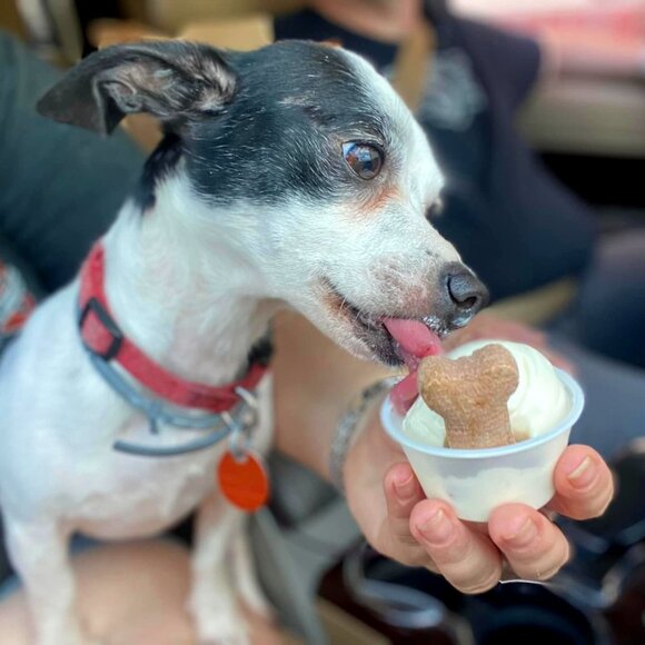 Ping's Pick!! - Picture 1 of 1